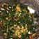 Cooksnap dari nunudede 🍲🍹 untuk resep Tumis Daun Pepaya Jepang