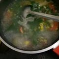 Cooksnap dari Bunda Sha-Sha untuk resep Sayur bening katuk