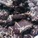 Cooksnap dari Fifi untuk resep Brownies almond cookies