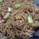 Cooksnap dari Nia d'Kitch untuk resep Bihun super irit ala anak kost