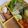 Cooksnap dari Aulia F. Chudlori untuk resep Gado Gado Surabaya
