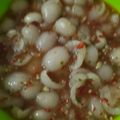 Cooksnap dari Resi Vauziah untuk resep Manisan rambutan hits