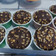 Cooksnap dari Novita untuk resep Chocolate Custard Muffin ala Dan Lepard The BEST EVER -Highly Recomended-