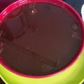 Cooksnap dari Zainal Tuasikal untuk resep Kuah Cuko Mpek Mpek