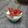 Cooksnap de Ruben Gomes quando cozinhou Panna Cotta sobremesa italiana.