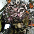 Cooksnap dari Evie Noralowse Goeltom untuk resep Cumi Masak Hitam