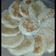 Cooksnap dari Syafa Syifa untuk resep Sagon/wingko ampas kelapa teflon/happy call