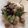 Laura Post's cooksnap of when they made Sauteed collard greens with sausage.