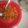 Cooksnap dari Avivatun H untuk resep Sambel Goreng Kentang Express