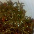 ken raila's cooksnap of when they made Stewed omena special with milk.