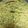 Komal Doshi's cooksnap of when they made મેથી મટર મલાઈ (Methi Matar Malai Recipe In Gujarati).