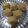 mitu madlani's cooksnap of when they made ભાખરી ના મોદક (Bhakhri Modak Recipe In Gujarati).