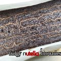 Cooksnap dari Rachma Esty Utami untuk resep Fudgy Nutella Brownies