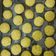 El cooksnap de Jess ! cuando hizo Galletas sin gluten Naranja Chía.