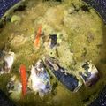 Cooksnap dari abah abi untuk resep Ikan bolu pallumara | bandeng kuah asam # Makassar Sul-sel