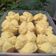 Cooksnap dari Alfia Siti untuk resep Kue Mangkok Gula Merah Tanpa Tape