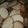 El cooksnap de Cecilia Chiappara cuando hizo Galletitas chatitas de coco y miel.