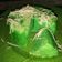Cooksnap dari yunita handayani untuk resep Bolu Pandan Kukus #Keto