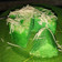 Cooksnap dari yunita handayani untuk resep Bolu Pandan Kukus #Keto