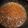 El cooksnap de Alicia R. Da Silva S. cuando hizo Salsa de tomate casera.