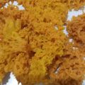 Cooksnap dari Ryna untuk resep Ayam Goreng Kremes Ala Mbok Berek