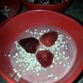 El cooksnap de cholitas cuando hizo Helado casero fit.