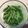 Mark's cooksnap of when they made Speedy and Easy Sugar Snap Peas and Grated Cheese.