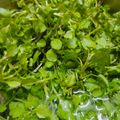 Cooksnap của Annie Vo khi họ làm theo món Canh xà lách xoong thịt bằm