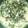 Cooksnap dari Indah untuk resep Gulai daun singkong teri