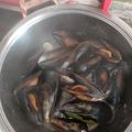 El cooksnap de rosa cuando hizo Mejillones al vapor.