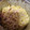 El cooksnap de Manuel Angel Peña cuando hizo Macarrones a la carbonara.