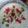 Shazia Shakir's cooksnap of when they made Louki Raita.