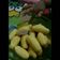 Cooksnap dari Intan Dyah Ayu S. untuk resep Snack MPASI 1thn+