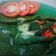 Cooksnap dari Estiana Rusmawati untuk resep Pepes jamur tiram