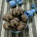 Cooksnap dari Endah untuk resep Doggie cookies