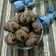 Cooksnap dari Endah untuk resep Doggie cookies