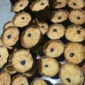 Cooksnap dari Mamanya AULIA untuk resep Bolu tape keju spesial