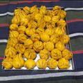 सैफ कनक गोपाल गुप्ता का कुकस्नैप जब उन्होंने फ्राइड मोदक(FRIED MODAK RECIPE IN HINDI) बनाया था।