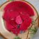 Cooksnap dari Juli Rizkia Fushsilaty untuk resep Puding Buah Naga mpasi