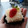 Cooksnap dari yohana untuk resep Bolu Jadul lembut