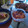 El cooksnap de blanch66 cuando hizo Cochinita Pibil en olla express.