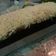 Cooksnap dari willa swasty untuk resep Brownis kukus chocolatos