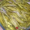 Cooksnap από Ζουζουνελ στη συνταγή Γαύρος μαρινάτος