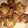 Pari Singh 's cooksnap of when they made Lauki k pakore (kofte).