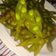 Cooksnap dari Mawar MWR_kitchen untuk resep Edamame
