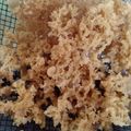 Cooksnap dari fenny untuk resep Kremesan Bersarang