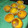 El cooksnap de myrian lencina cuando hizo Magdalenas caseras de limón.