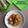 Cooksnap dari HI-Dapoer untuk resep Pempek Dos Tahu