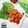 Cooksnap dari fransiska arie untuk resep Chicken wings ala pizza hut