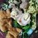 Cooksnap dari Dinna untuk resep Bakso ayam isi telur
